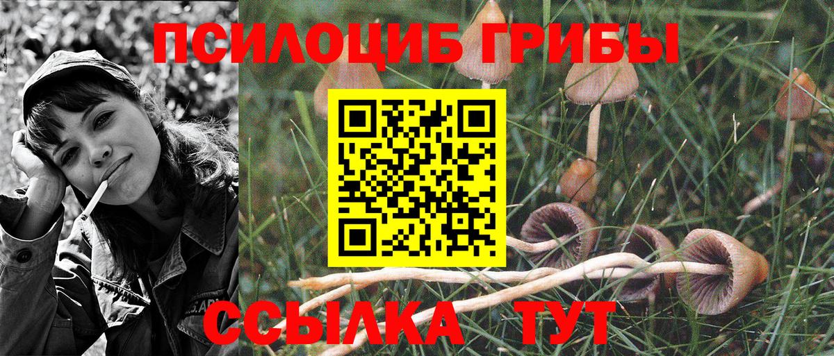 наркота  Галлюциногенные грибы Psilocybine cubensis  Вход с VPN  Галлюциногенные грибы ЛСД  Кудымкар 